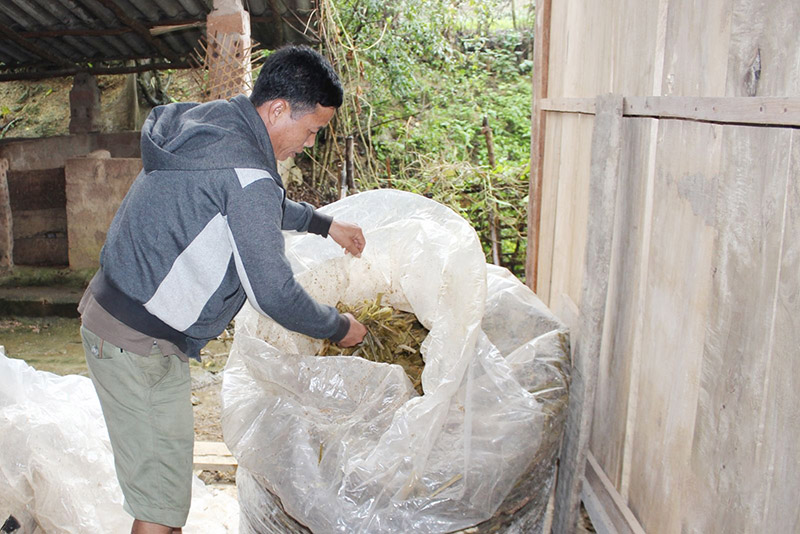 phòng chống rét cho vật nuôi