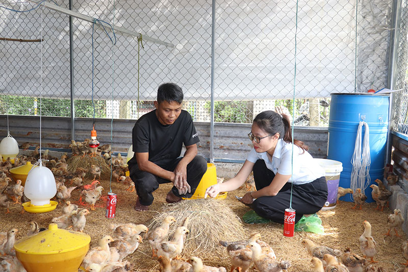 khuyến nông đà nẵng