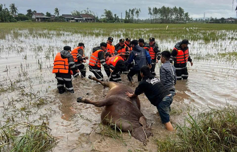 khắc phục hậu quả mưa lũ