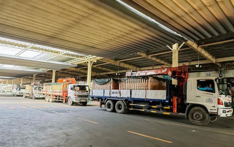 Lợn giống được Hòa Phát nhập khẩu