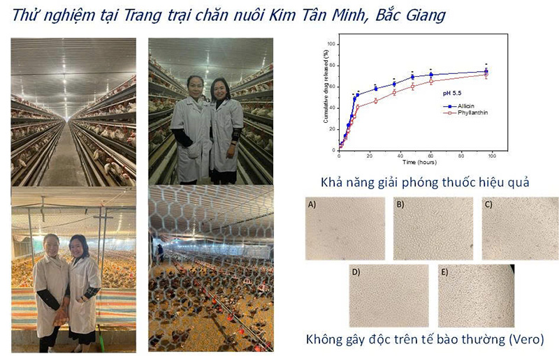 kháng sinh nano trong chăn nuôi gia cầm