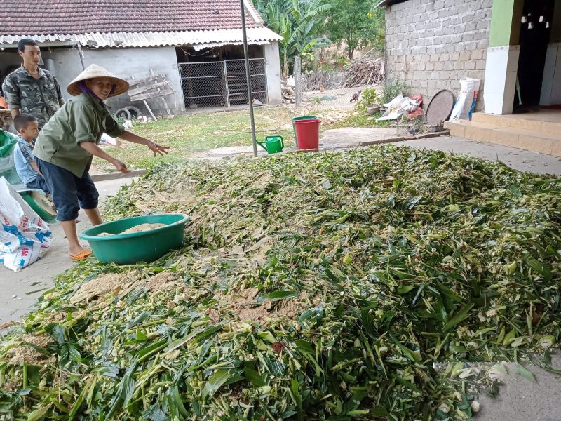 chăn nuôi an toàn