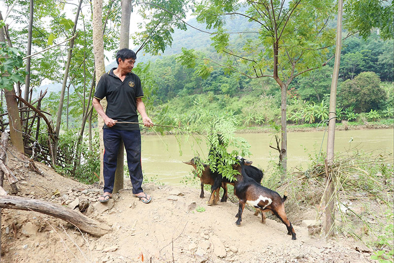 chính sách chăn nuôi nghệ an