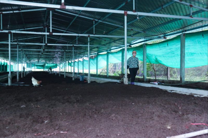 chăn nuôi an toàn