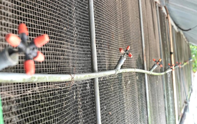 chăn nuôi an toàn