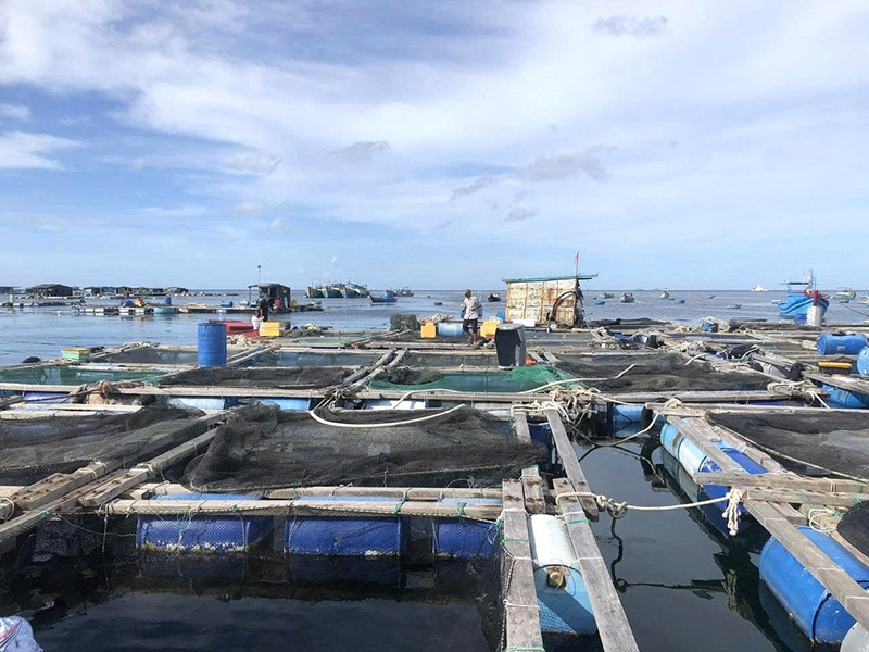 ngành nông nghiệp lâm đồng