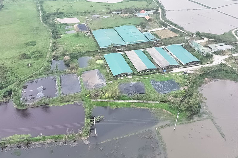 chăn nuôi gây ô nhiễm