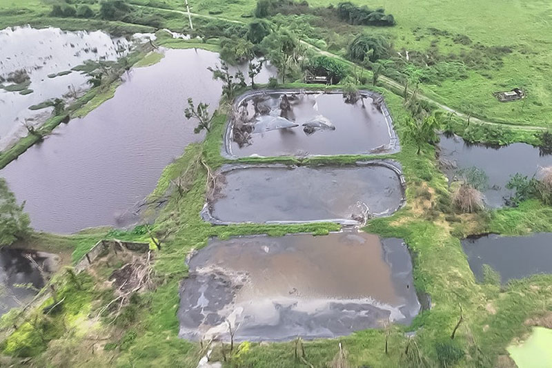chăn nuôi gây ô nhiễm