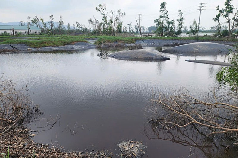 chăn nuôi gây ô nhiễm