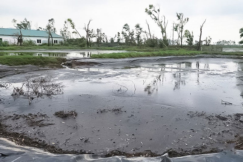 chăn nuôi gây ô nhiễm