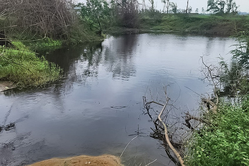 chăn nuôi gây ô nhiễm