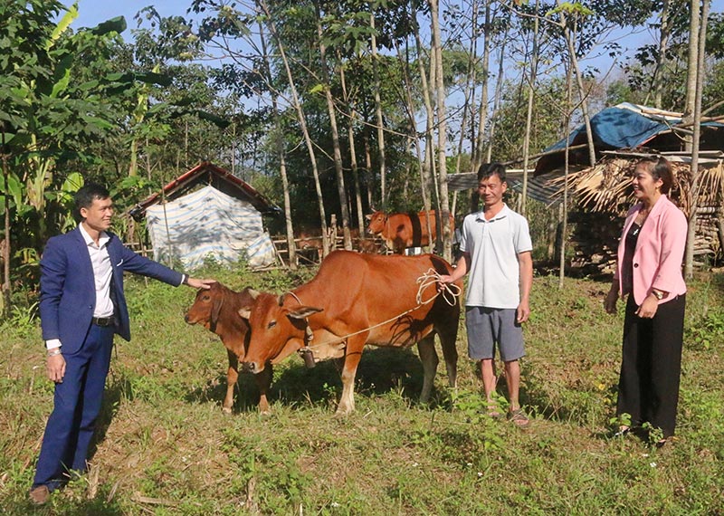 mật độ chăn nuôi