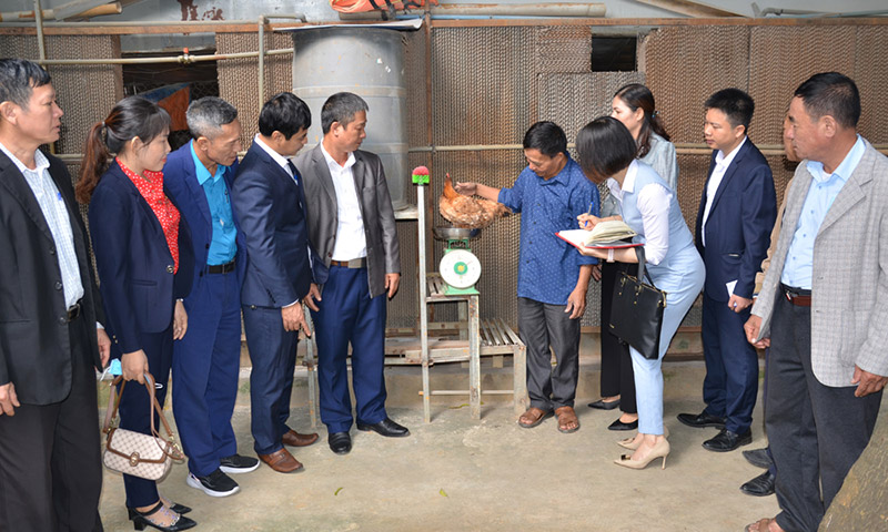 tập huấn khuyến nông