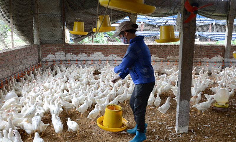 tập huấn khuyến nông