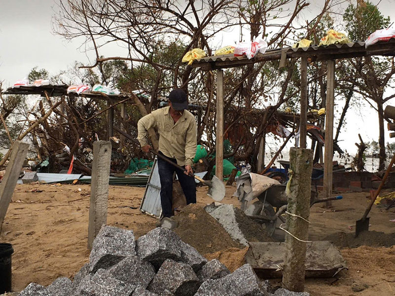 thiệt hại chăn nuôi sau lũ