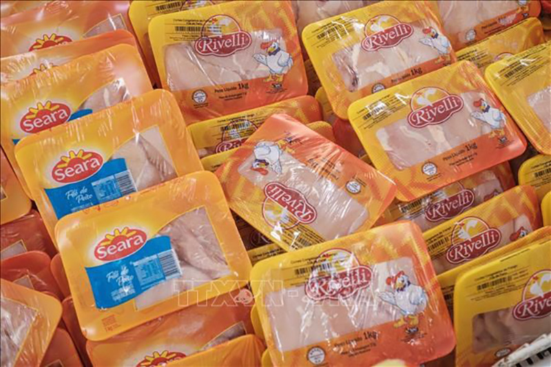 nhập khẩu thịt gà Brazil