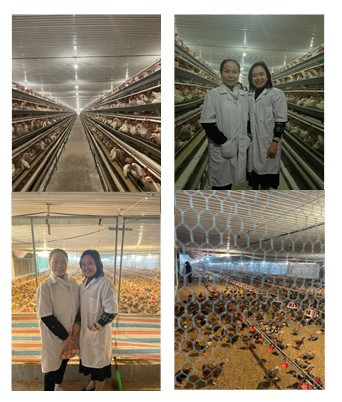 thử nghiệm chăn nuôi