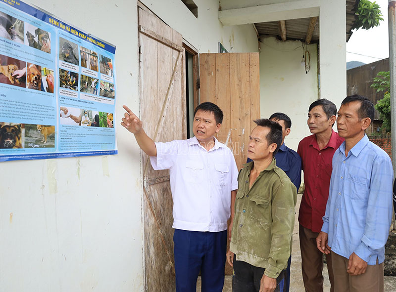 tiêm phòng vật nuôi