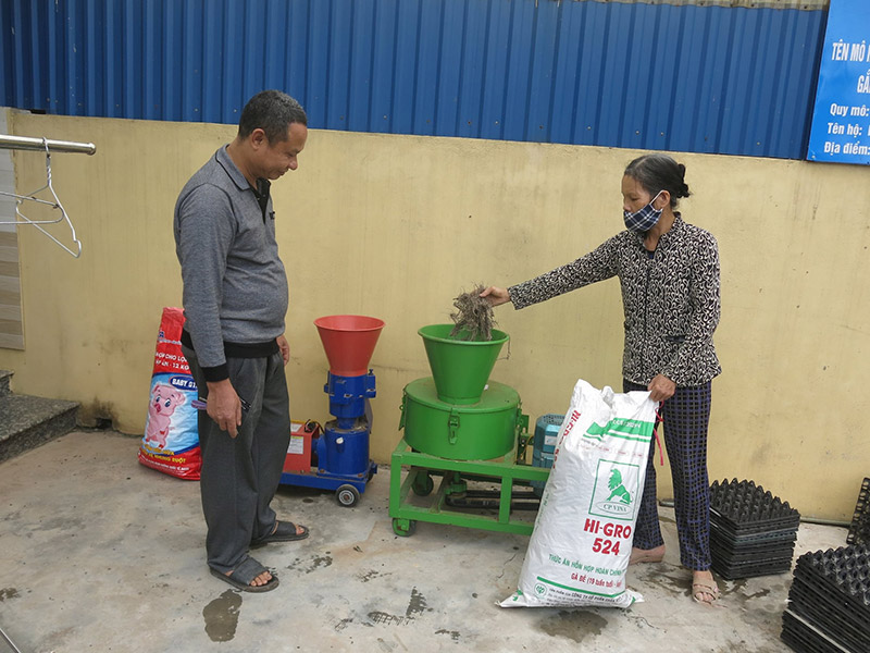 nuôi gà đẻ trứng bằng dược liệu