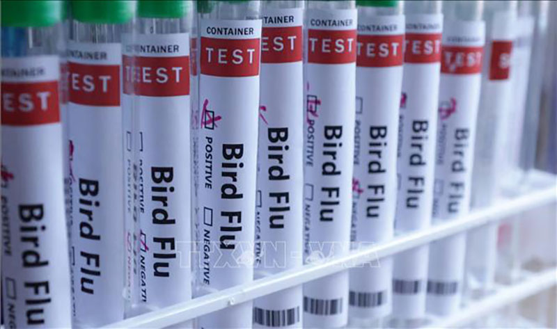 virus cúm gia cầm