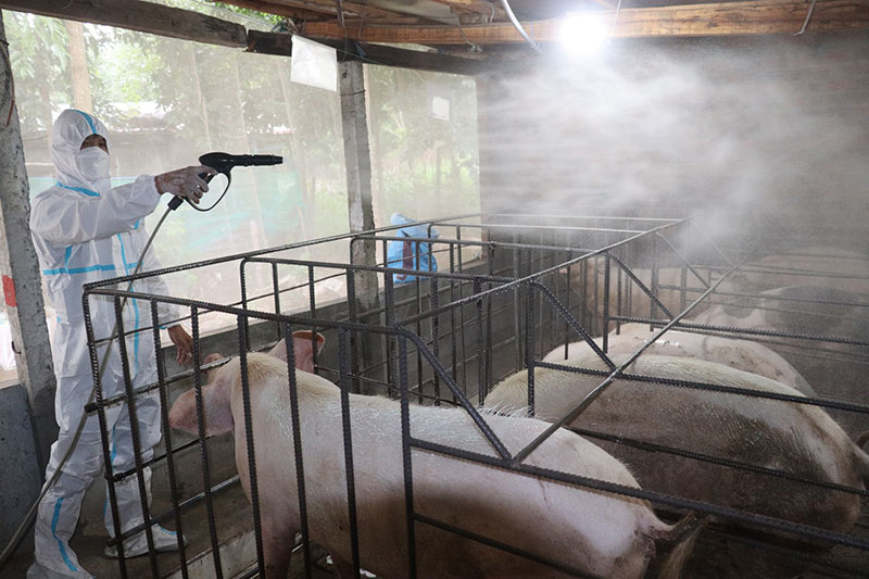 bảo vệ vật nuôi mùa lạnh