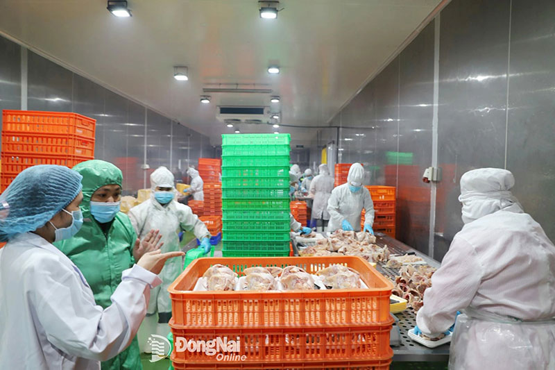 chăn nuôi đồng nai