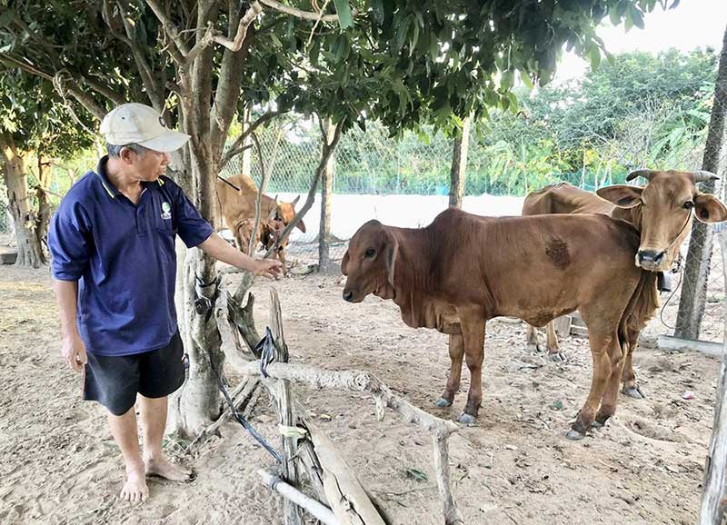 phòng dịch bệnh vật nuôi