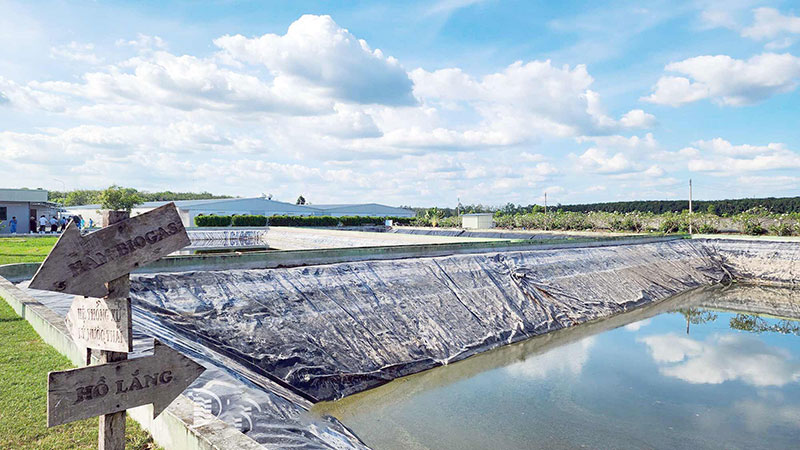 khảo sát môi trường chăn nuôi