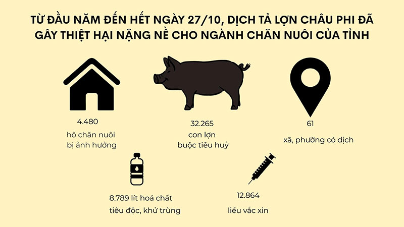 hỗ trợ thiệt hại dịch tả lợn