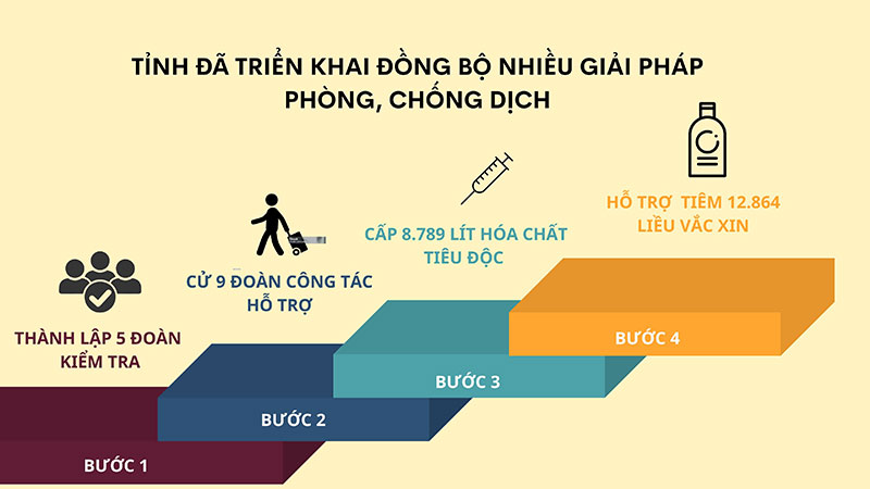 hỗ trợ thiệt hại dịch tả lợn