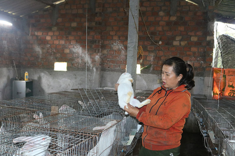 mô hình chăn nuôi hiệu quả