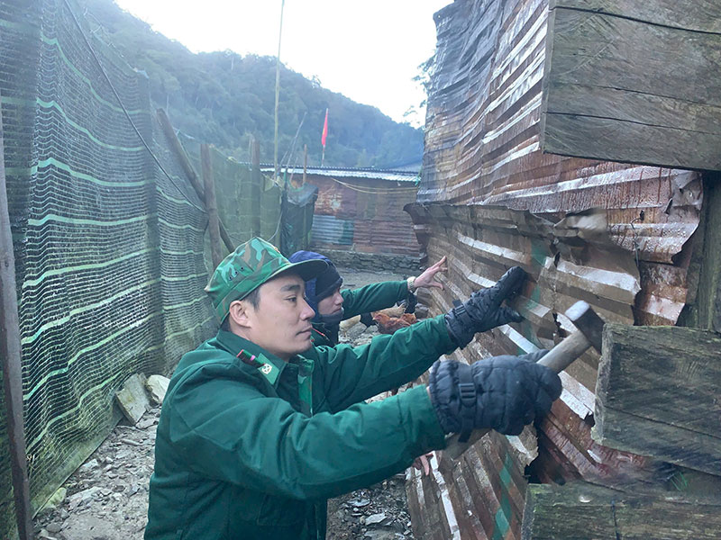 chống rét cho vật nuôi