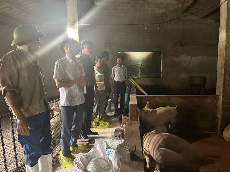 dịch bệnh đàn vật nuôi