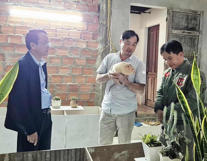 mô hình nuôi dúi