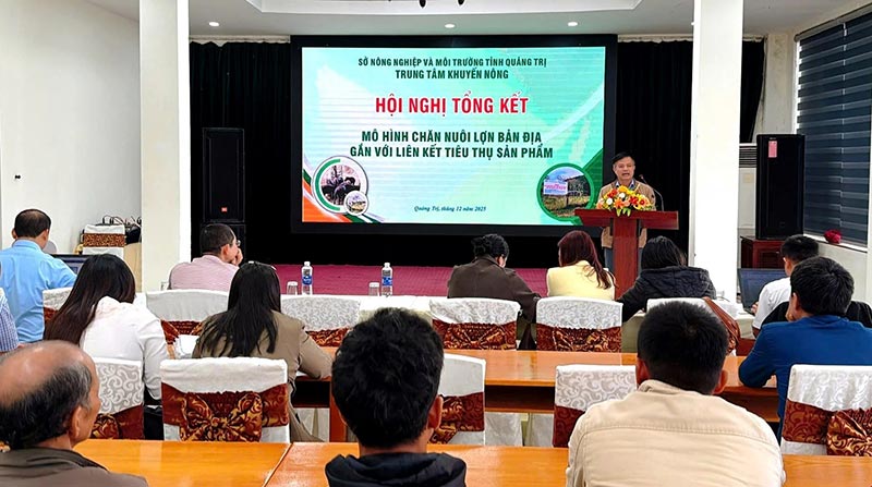 mô hình chăn nuôi lợn bản địa