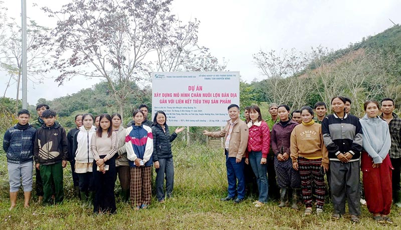 mô hình chăn nuôi lợn bản địa