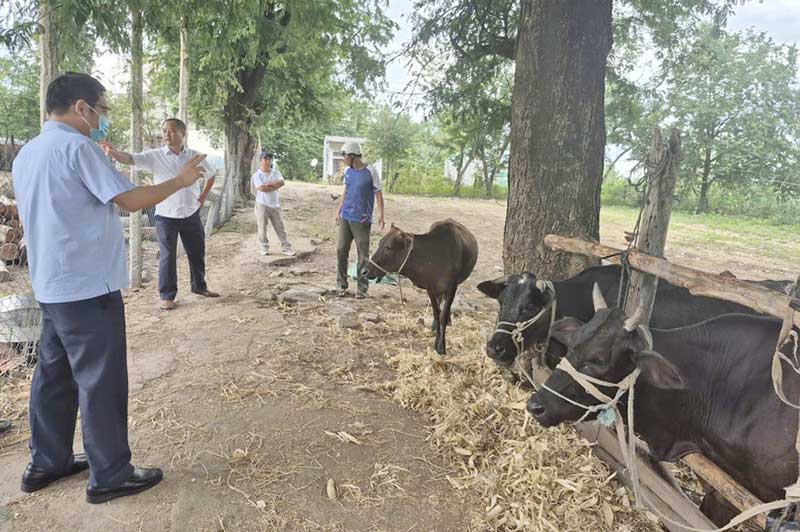 chăn nuôi cuối năm