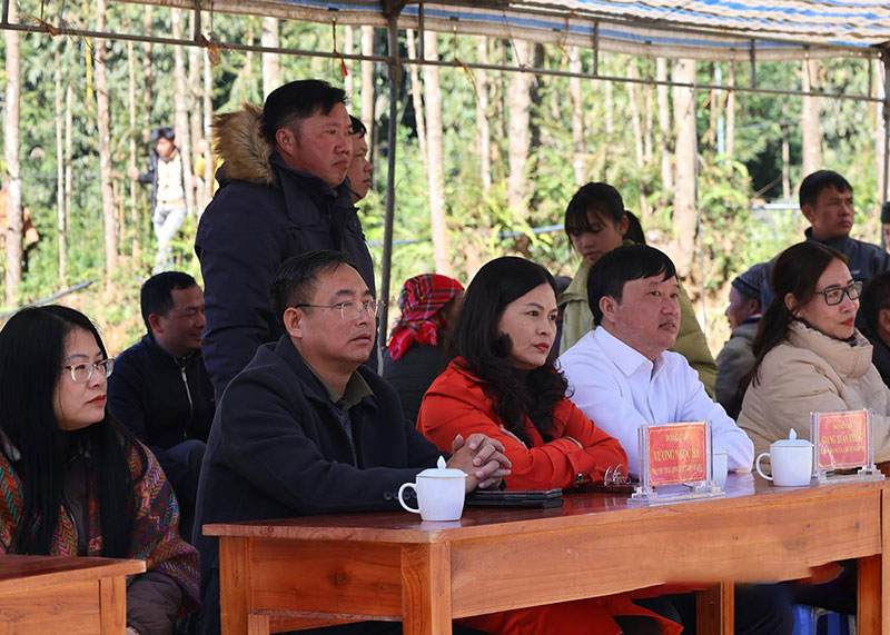 Hội thi bò đẹp