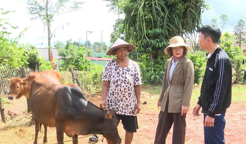 thiếu cán bộ thú y