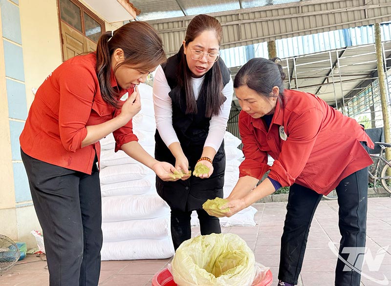 Thịt lợn trà xanh