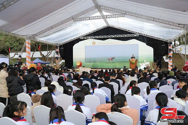 hoa hậu bò sữa Mộc Châu