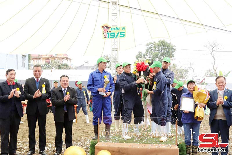 hoa hậu bò sữa Mộc Châu