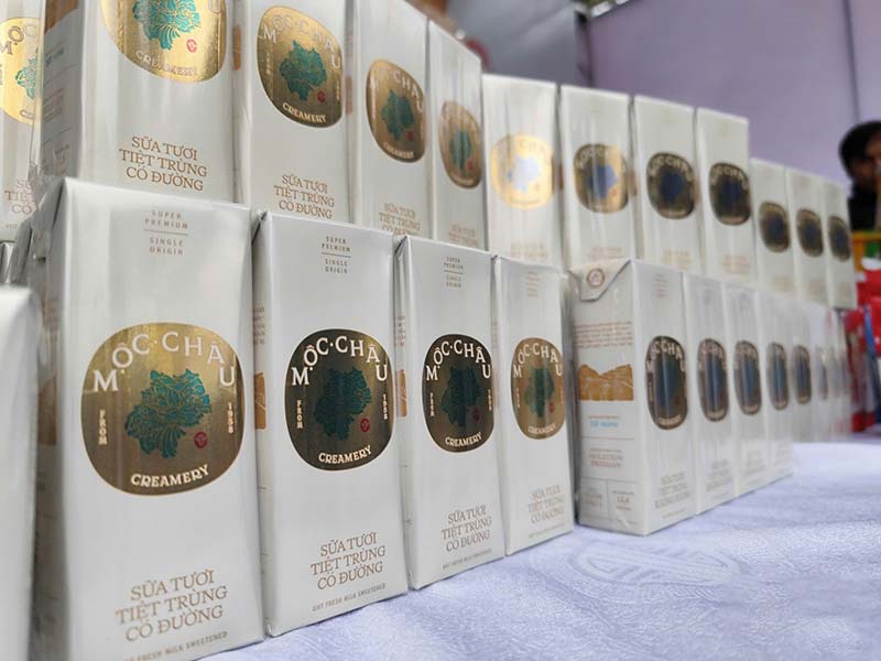 hoa hậu bò sữa Mộc Châu