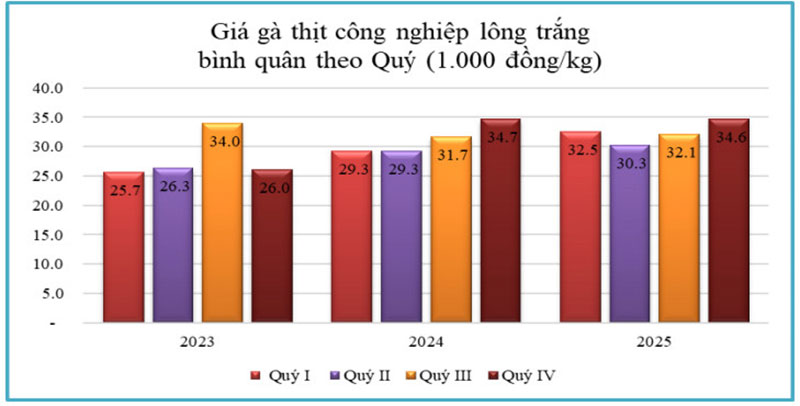 giá gà thịt công nghiệp