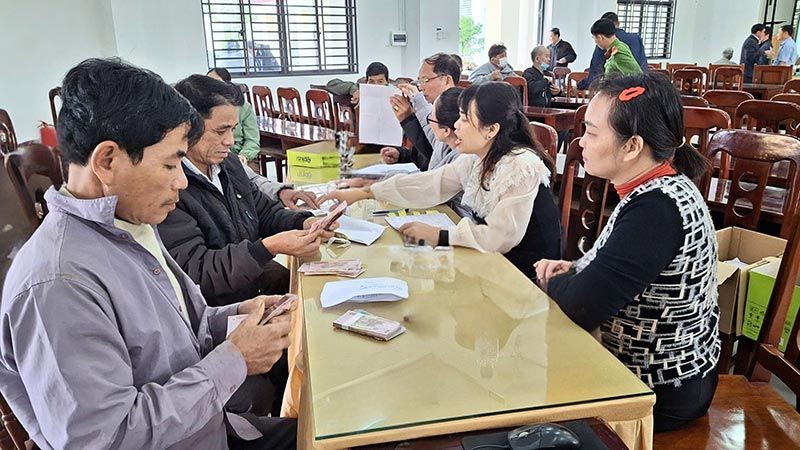 hỗ trợ dịch tả heo