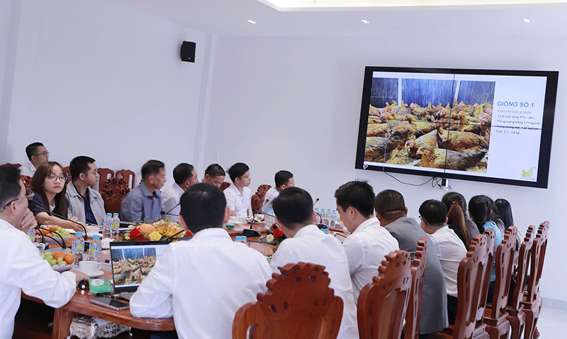 Giống gia cầm Minh Dư