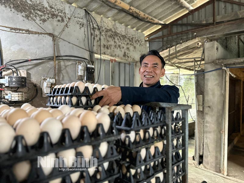 chăn nuôi ninh bình