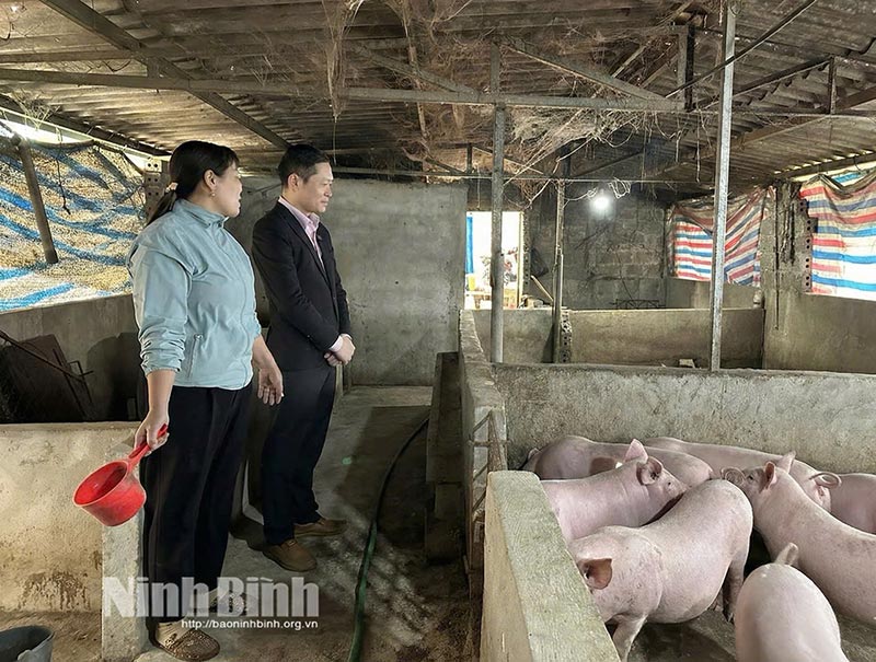 chăn nuôi ninh bình