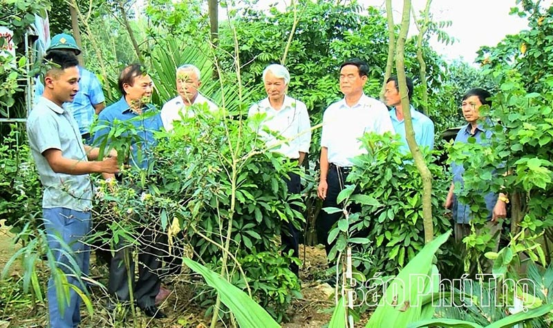 nuôi hươu liên kết