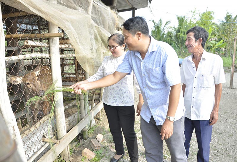 nuôi hươu lấy nhung